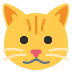 🐱