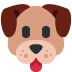 🐶
