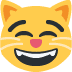 😸