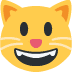 😺